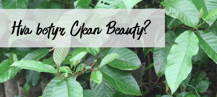 Hva betyr ordet CLEAN innenfor beauty? 